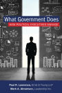What Government Does: How Political Executives Manage