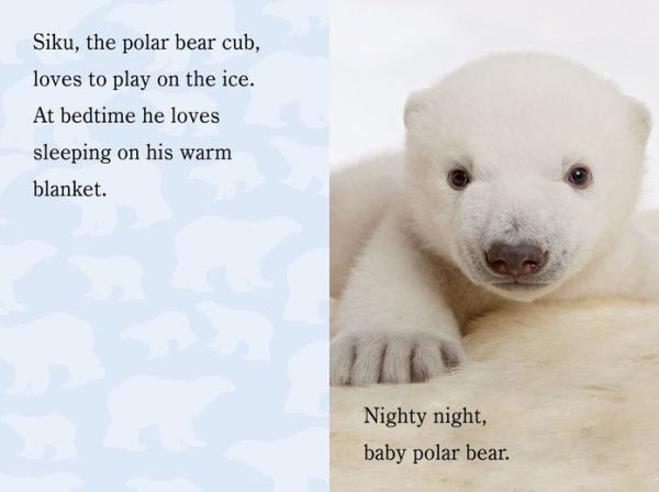 Nighty Night, ZooBorns: Ready-to-Read Level 1