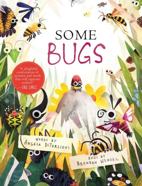 Some Bugs: with audio recording