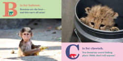 Alternative view 3 of ABC ZooBorns!