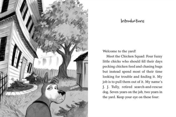 The Chicken Squad: The First Misadventure (Chicken Squad Series #1)