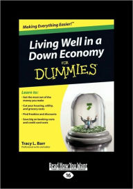 Living Well In A Down Economy For Dummies (Easyread Large Edition)