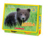 National Geographic Kids: La BoÃ¯Â¿Â½te Ã¯Â¿Â½ Lecture 4