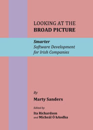Looking at the Broad Picture: Smarter Software Development for Irish Companies