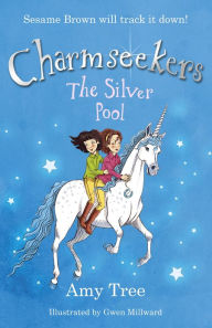 The Silver Pool: Charmseekers 2