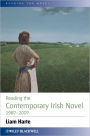 Reading the Contemporary Irish Novel 1987 - 2007 / Edition 1