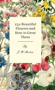 Title: 250 Beautiful Flowers and How to Grow Them, Author: J W Morton