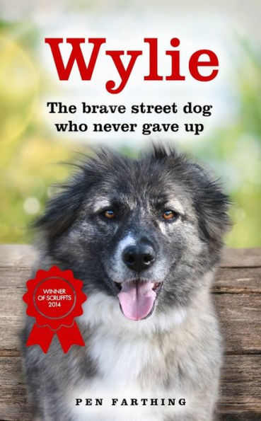 Wylie: The Brave Street Dog Who Never Gave Up