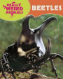 Beetles
