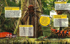 Alternative view 2 of Busy Bugs: Discovery Kids 3D-Sticker Fun!