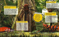 Alternative view 4 of Busy Bugs: Discovery Kids 3D-Sticker Fun!