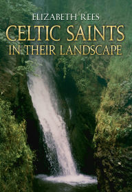 Title: Celtic Saints In Their Landscape: In Their Landscape, Author: Elizabeth Rees