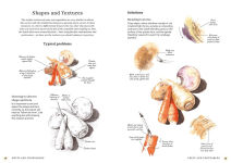 Alternative view 4 of The Bedside Book of Watercolor Wisdom: 500 Practical Hints, Tips, and Solutions for All Artists