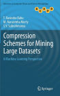 Compression Schemes for Mining Large Datasets: A Machine Learning Perspective