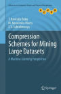 Compression Schemes for Mining Large Datasets: A Machine Learning Perspective