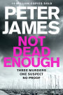 Not Dead Enough (Roy Grace Series #3)
