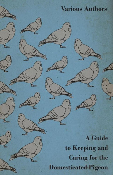A Guide to Keeping and Caring for the Domesticated Pigeon