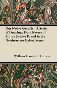 Our Native Orchids - A Series of Drawings From Nature of All the Species Found in the Northeastern United States
