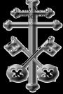 The New Canon Law