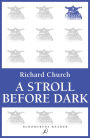 A Stroll Before Dark: Essays