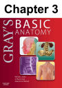 Thorax: Chapter 3 of Gray's Basic Anatomy