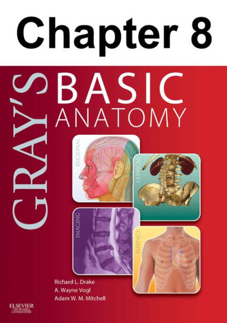 Head and Neck: Chapter 8 of Gray's Basic Anatomy by Richard Drake 