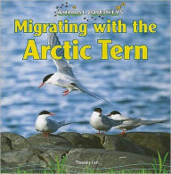 Migrating with the Arctic Tern