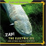 Zap!