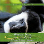 What's New At The Zoo?