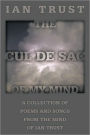 The Cul De Sac Of My Mind