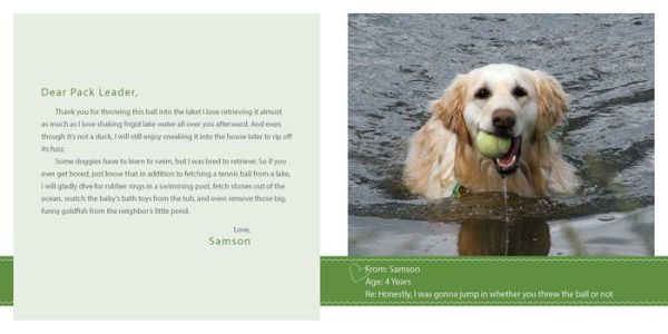 Sorry I Pooped in Your Shoe (and Other Heartwarming Letters from Doggie)