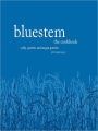 Bluestem: The Cookbook