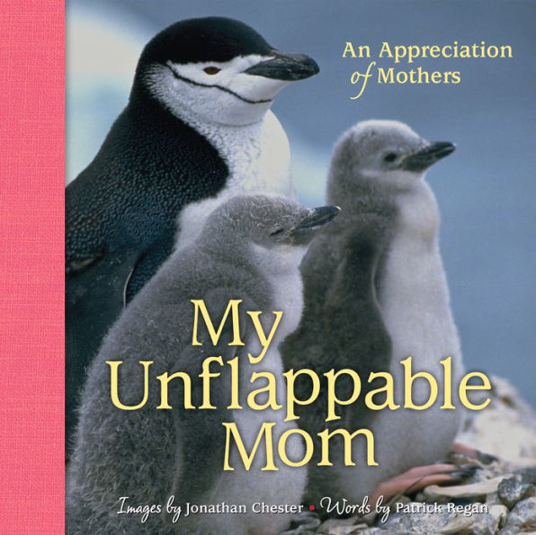 My Unflappable Mom: An Appreciation of Mothers