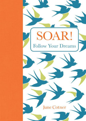 Soar Follow Your Dreams Little Gift Book