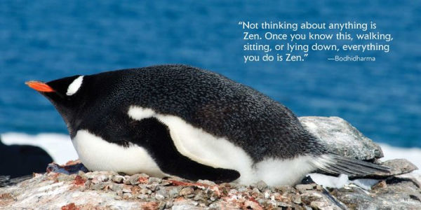 Zen Penguins: The Art of Keeping Chill