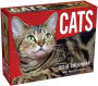 2018 Cats Mini Day-to-Day Calendar