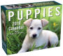 2019 Puppies Mini Day-to-Day Calendar