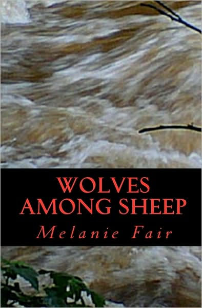 Books I Love: (More) Sensational Knitted Socks - Sheep Among Wolves