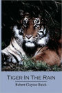 Tiger In The Rain