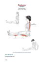 Alternative view 7 of Yoga Anatomy