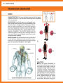 Alternative view 2 of The Strength Training Anatomy Workout II: Building Strength and Power with Free Weights and Machines