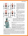 Alternative view 3 of The Strength Training Anatomy Workout II: Building Strength and Power with Free Weights and Machines