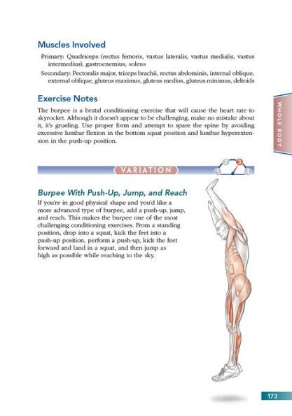 Bodyweight Strength Training Anatomy / Edition 1