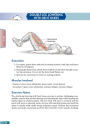 Alternative view 5 of Bodyweight Strength Training Anatomy / Edition 1