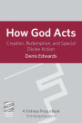 How God Acts: Creation, Redemption, And Special Divine Action