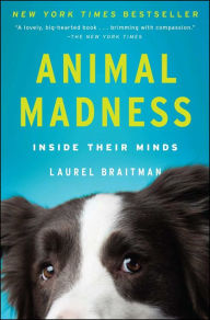 Title: Animal Madness: How Anxious Dogs, Compulsive Parrots, and Elephants in Recovery Help Us Understand Ourselves, Author: Laurel Braitman