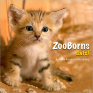 Title: ZooBorns Cats!: The Newest, Cutest Kittens and Cubs from the World's Zoos, Author: Andrew Bleiman