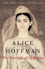 Title: The Marriage of Opposites, Author: Alice Hoffman