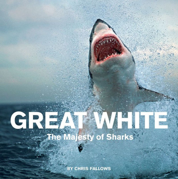 Great White The Majesty of Sharks by Chris Fallows NOOK Book (eBook) Barnes & Noble®
