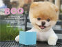 Boo: The Life of the World's Cutest Dog